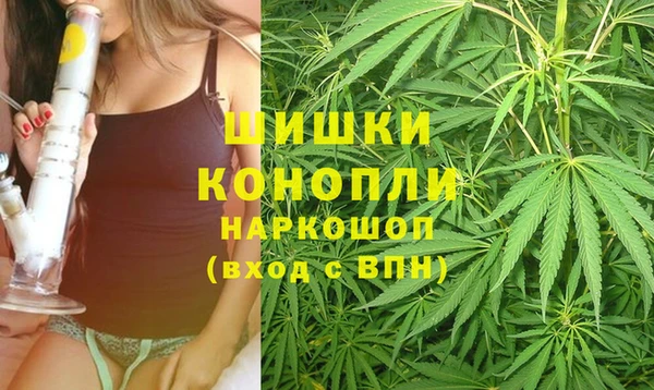СК Снежинск