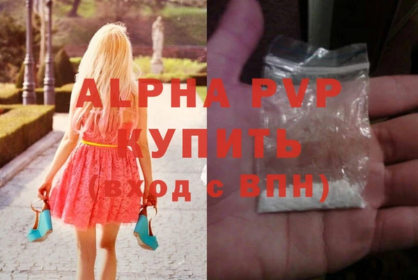 ПСИЛОЦИБИНОВЫЕ ГРИБЫ Гусев